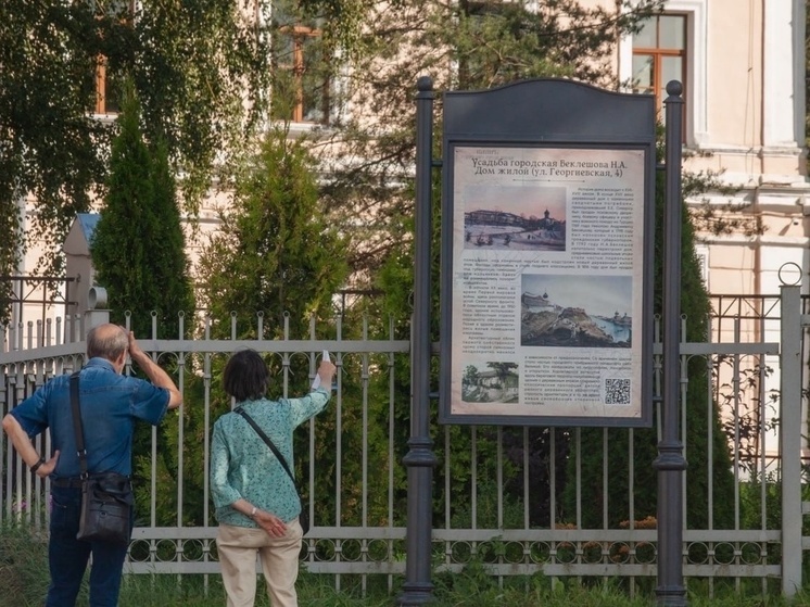 «Реверанс гостям»: как туристов завлекают в Псков табличками за 4,5 млн и барсиками