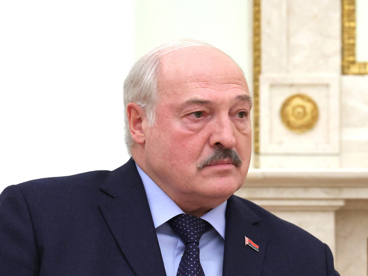 Предпринимателя из Подмосковья задержали за оскорбление Лукашенко