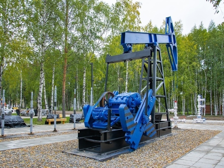 В Стрежевом открылся Индустриальный парк с нефтяным оборудованием