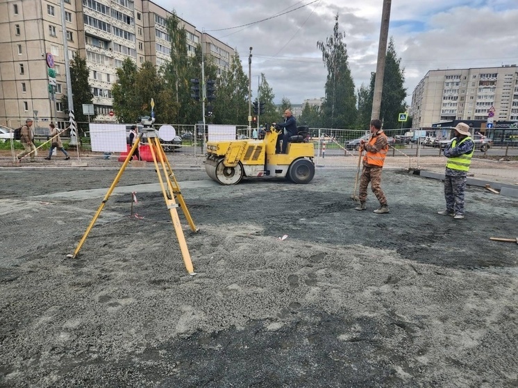 Новогоднюю ель посадят на площади в спальном районе Петрозаводска