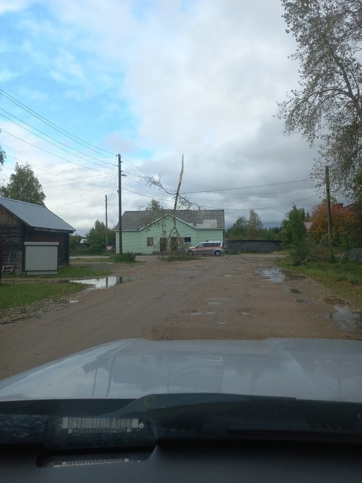 Власти района Карелии обследуют разрушения после шторма в поселке Ледмозеро