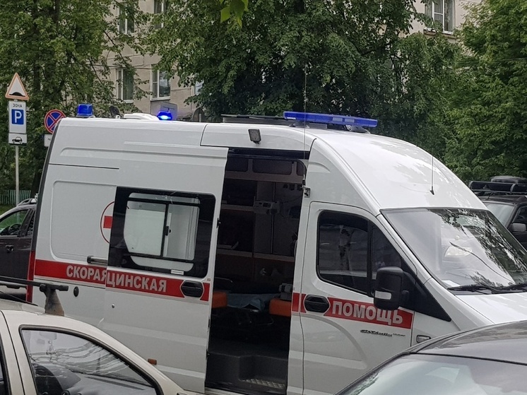 Мужчина с ребенком попали под колеса автомобиля в Петрозаводске