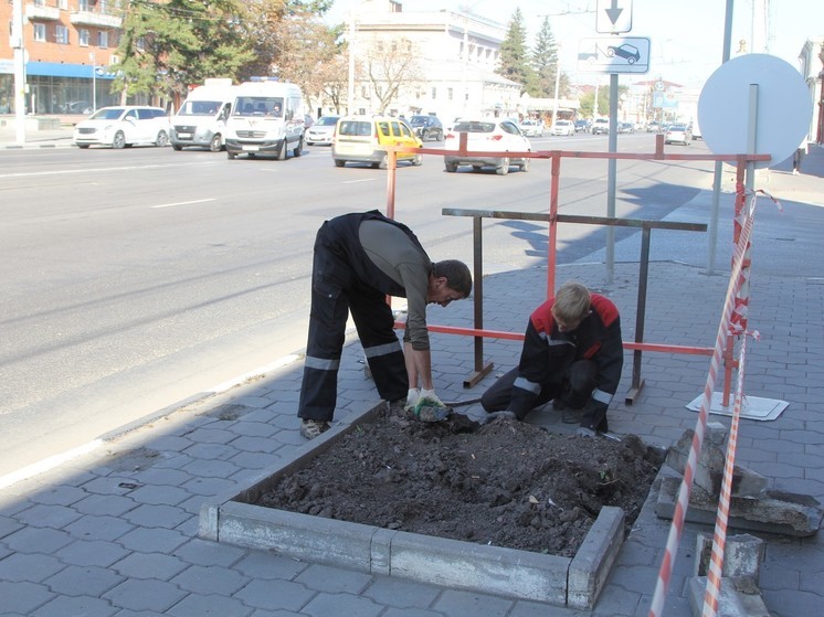 На улице Советской в Туле установят модули для растений и лавочки