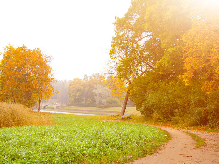 Жителей НАО приглашают к участию в экологическом конкурсе