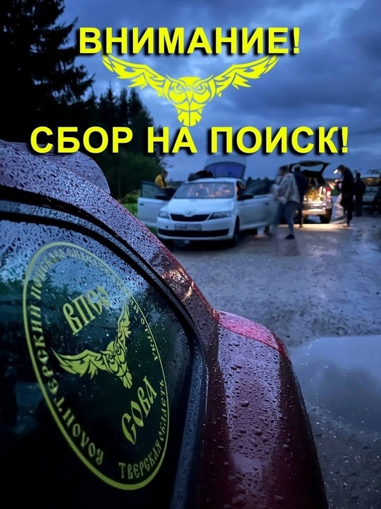 В Тверской области ищут волонтеров для поисков пропавшего в лесу мужчины