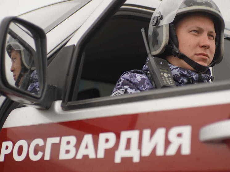 Росгвардия НАО разбиралась с кражей в бане и дракой в баре