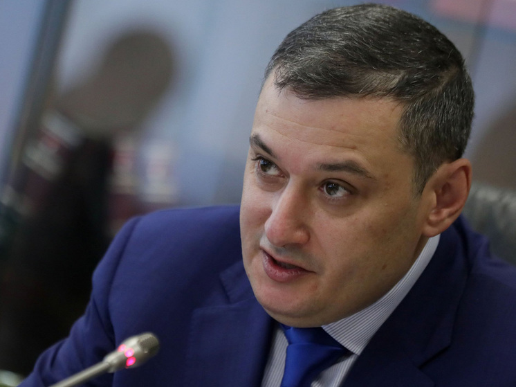 Депутат объяснил разницу между кадровыми росгвардейцами и добровольческими формированиями