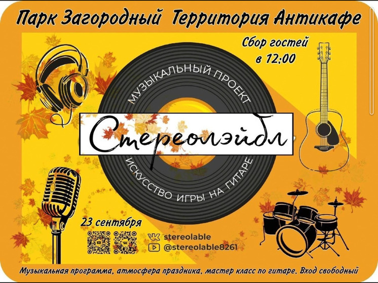 Во Владимире в Загородном парке пройдет "Стереолейбл"