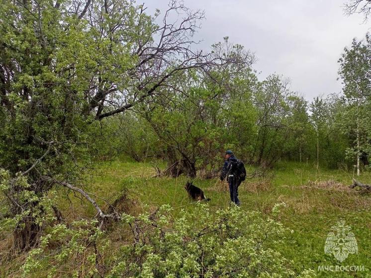 В НАО нашли пропавшего грибника