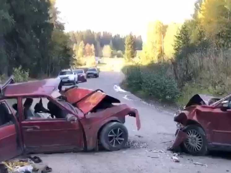 Водитель ВАЗ погиб на проселочной дороге в Карелии в лобовом столкновении