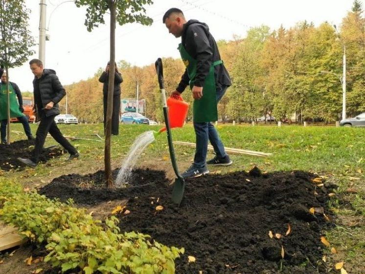 На новой уфимской аллее высадили еще 20 лип