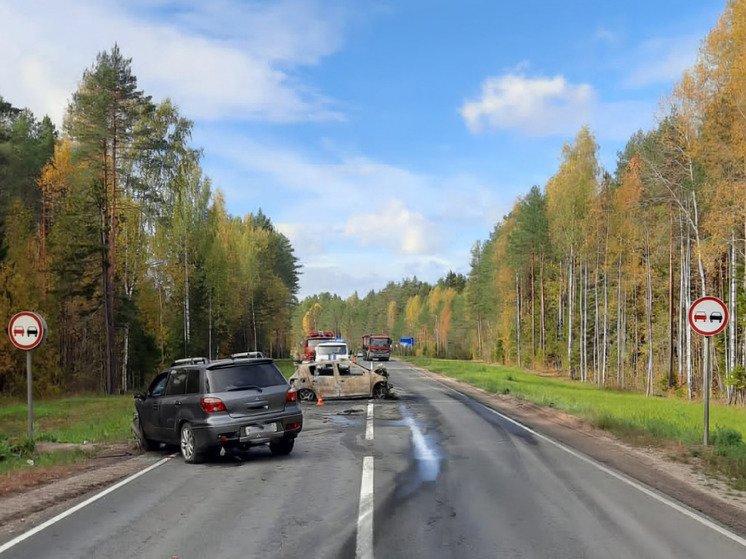 Полицейские устанавливают обстоятельства ДТП в Вельском районе, в результате которого погиб человек
