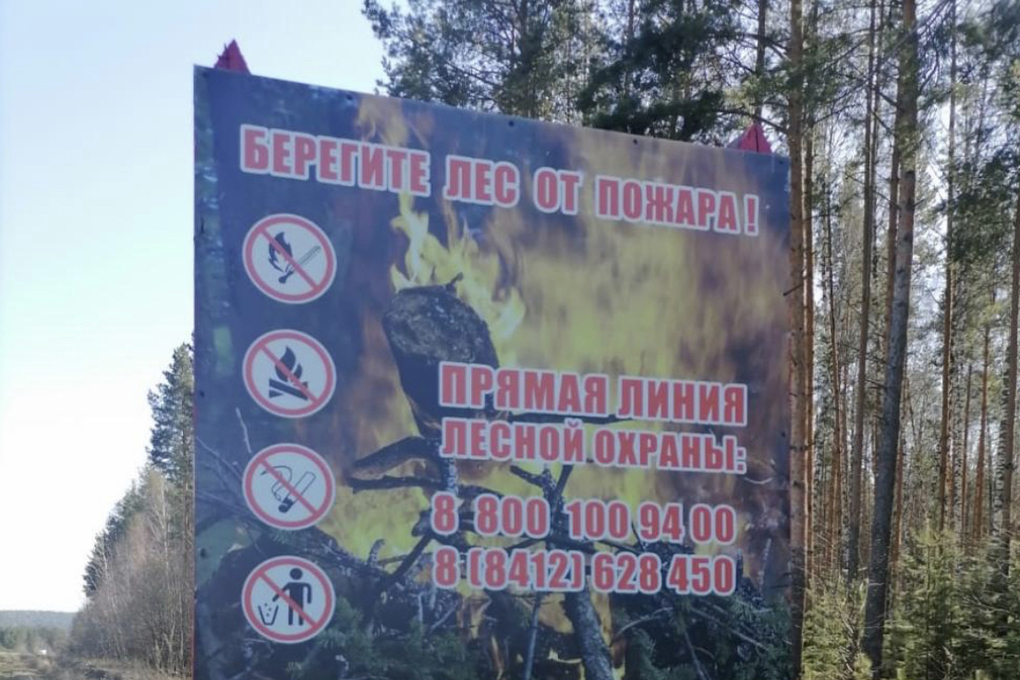С начала года в Пензенской области загорелось 33,7 гектаров лесных насаждений