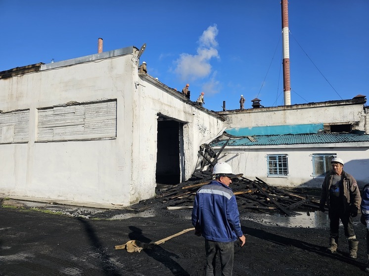 Котельную в Углегорске восстановят после пожара к 30 сентября