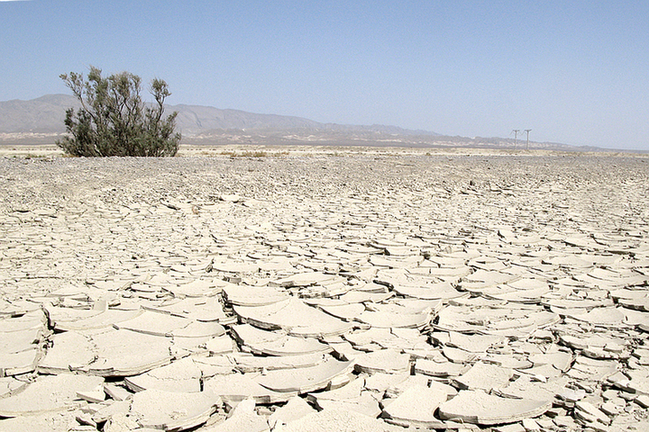 UNESCO included the Karakum Desert on the World Heritage List