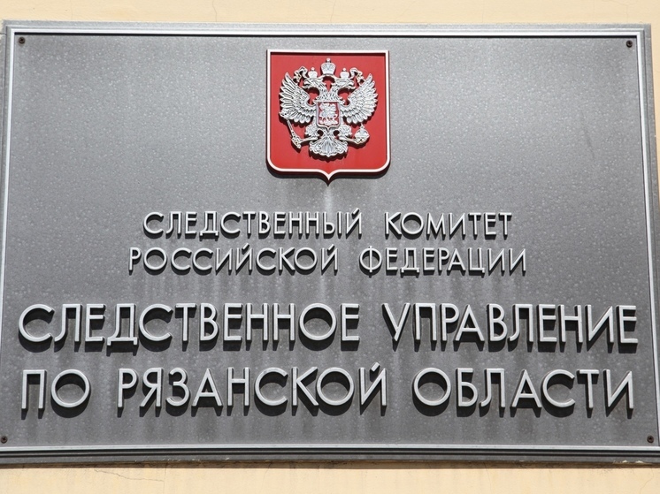 Рязанский подросток получил условный срок за изнасилование 16-летней девушки