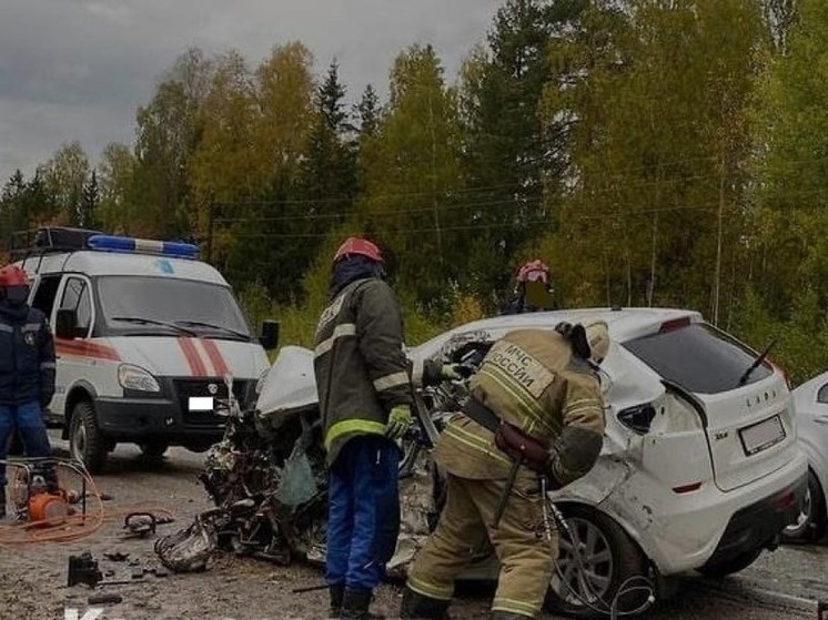 Два автомобиля попали в ДТП в Стругокрасненском районе