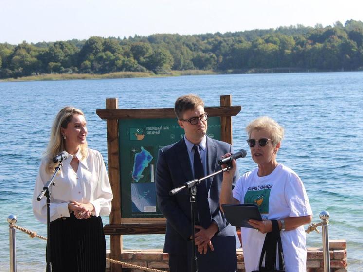 В Янтарном открыли первый в России подводный парк