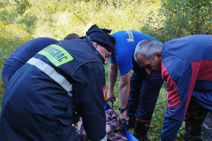 Двое грибников нашли 86-летнего пенсионера в тяжелом состоянии в лесу