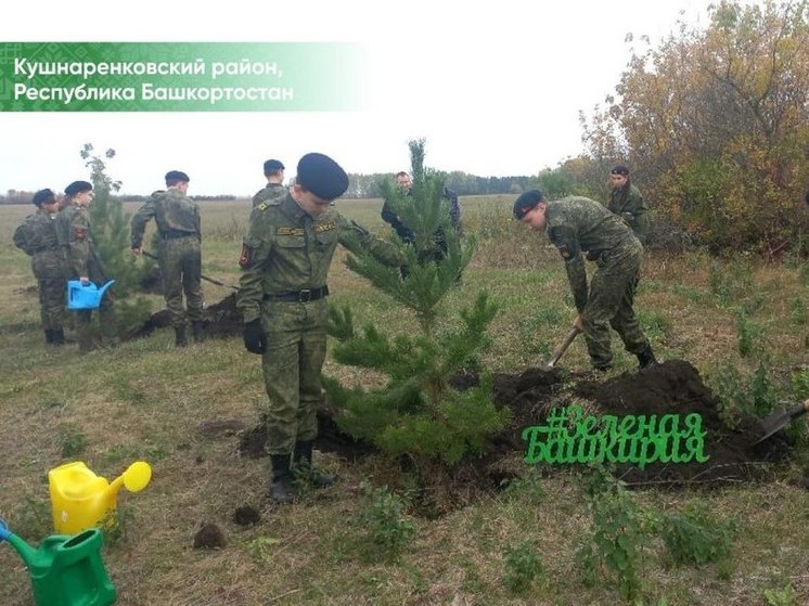 В Башкирии за один день появилась 41 тематическая аллея