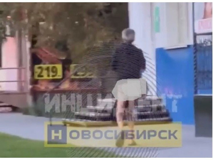 В Новосибирске неадекват прогулялся без трусов по улице Богаткова