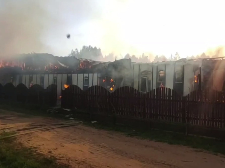 МЧС: Из горящей конюшни во Всеволожске спасены все животные