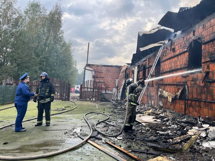 Прокуратура начала проверку по факту пожара в конюшне под Петербургом