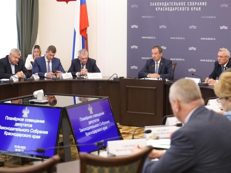 Кубанские парламентарии обсудили перспективы развития уличной торговли в регионе