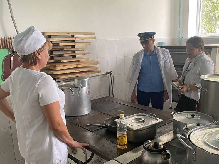 В Курске люди из регионального управления Роспотребнадзора проверили школьные столовые