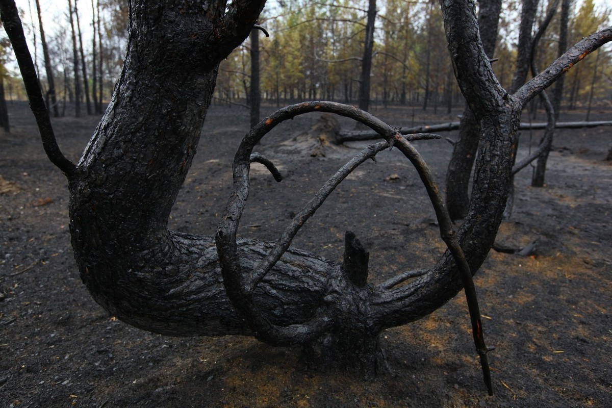 Загадочную южноуральскую деревню Фроловка показали в «Битве экстрасенсов» -  МК Челябинск