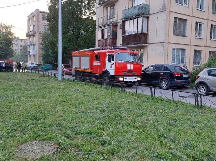 Огнеборцы Петербурга ликвидировали пожар в квартире Невского района