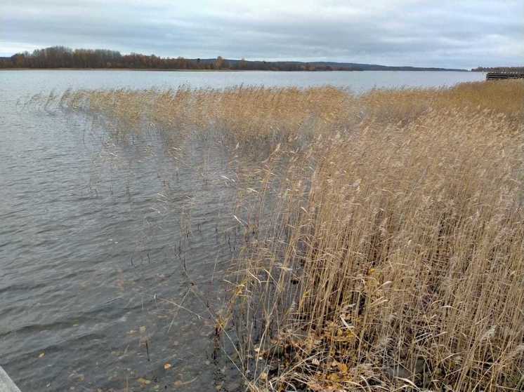 Томич перевернулся на лодке на Томи по дороге на Семейкин остров