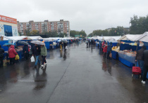 Осенний сезон продовольственных ярмарок стартовал в Барнаул. Товарооборот последней ярмарки составил 7,8 млн рублей, сообщает пресс-центр мэрии города.