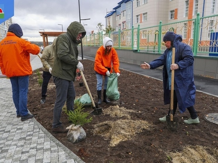 В Надымском районе по акции «Зеленая Россия» провели субботник и высадку деревьев