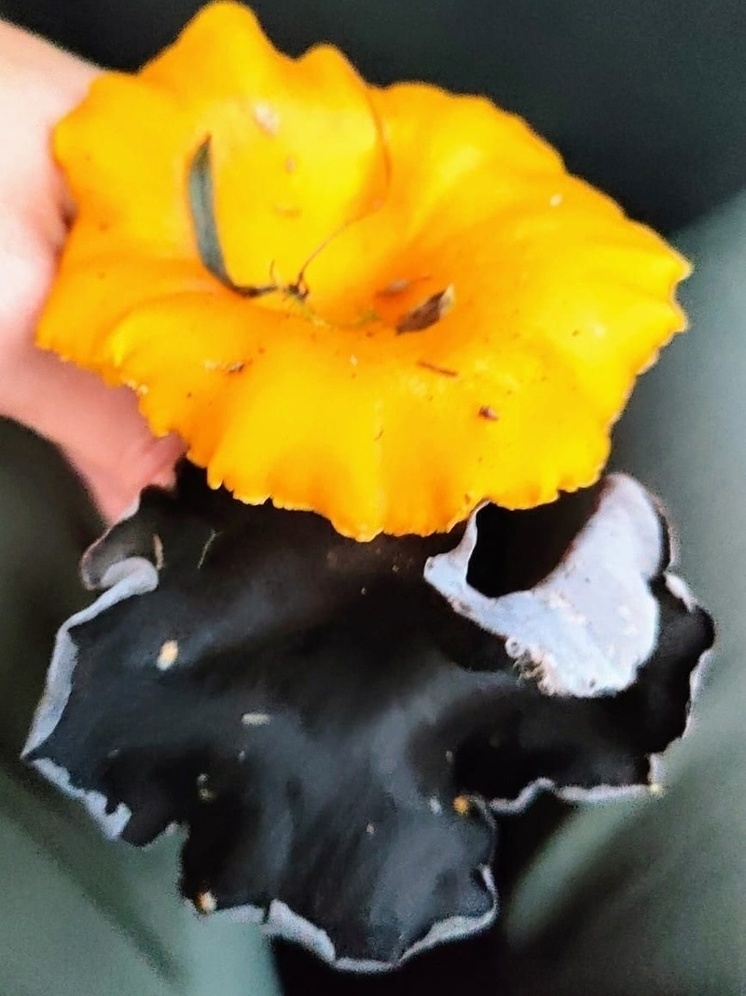 Глава администрации района в Карелии похвастался «трубой смерти»