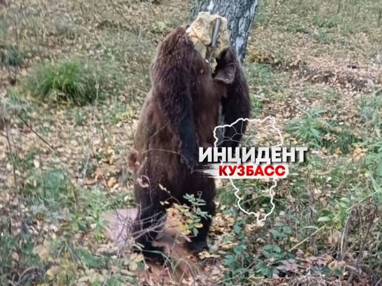 Чучело медведя напугало жителей кузбасского поселка
