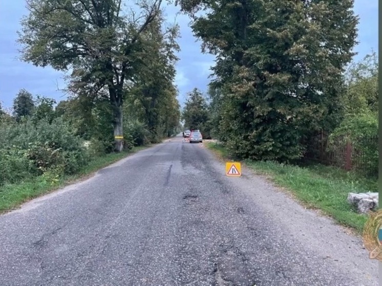В Полесском районе пешеход умер под колесами автомобиля