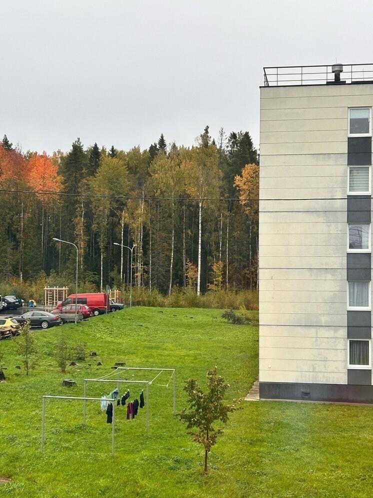 Жительница новостройки в Петрозаводске посмеялась над бельем соседей на ветру