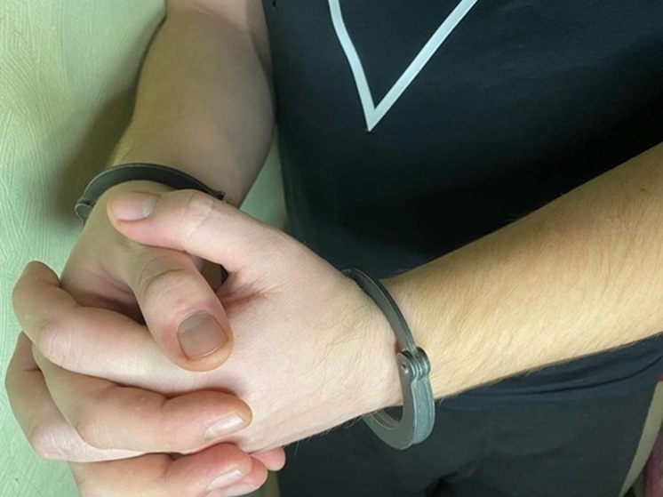 Уголовное дело возбудили на жителя Ростова, избившего соседку битой