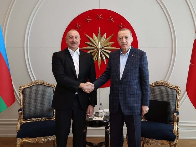 Эрдоган и Алиев откроют в Нахичевани военно-производственный комплекс