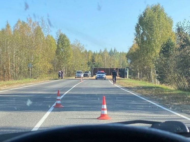 В ДТП в Касимовском районе погиб водитель легкового автомобиля
