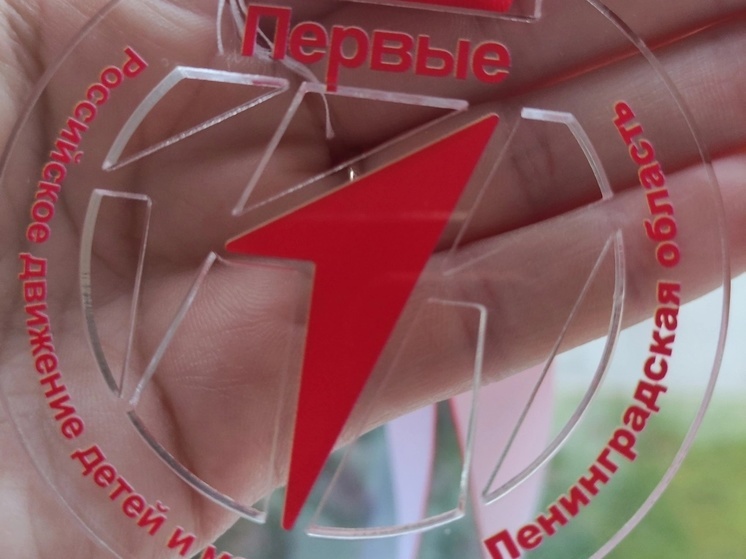 Жители Соснового Бора стали участниками фестиваля «Семейная команда»