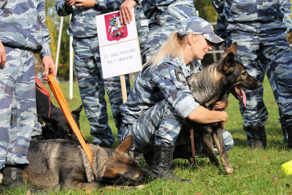Yesterday in the Vologda region the Russian Ministry of Internal Affairs Championship in all-around dog handlers ended