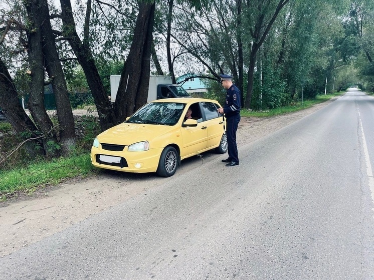 Сотрудники ГИБДД напомнили родителям правила безопасной перевозки детей