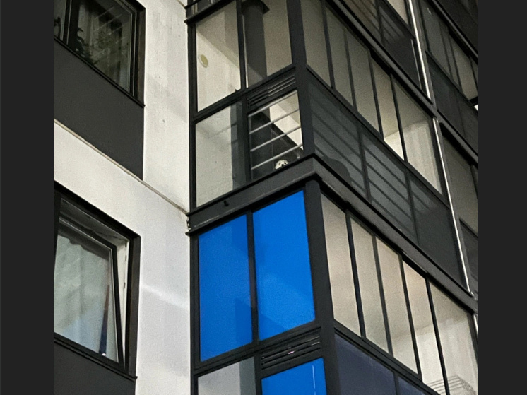 Запертая на балконе собака жалобным лаем перебудила весь квартал в Петрозаводске