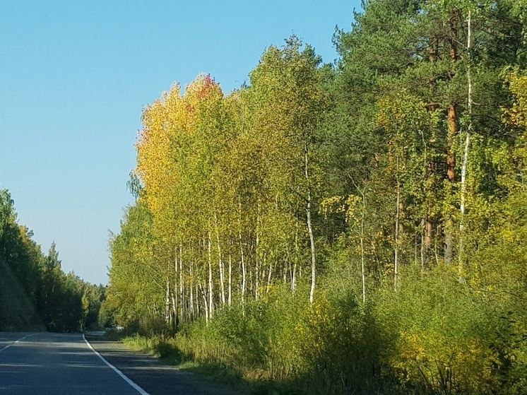 Синоптики Карелии сказали, чем закончится сентябрь
