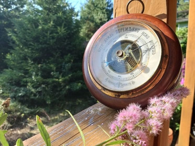 Облачность и тепло до +18 градусов: какая погода ждет петербуржцев 25 сентября