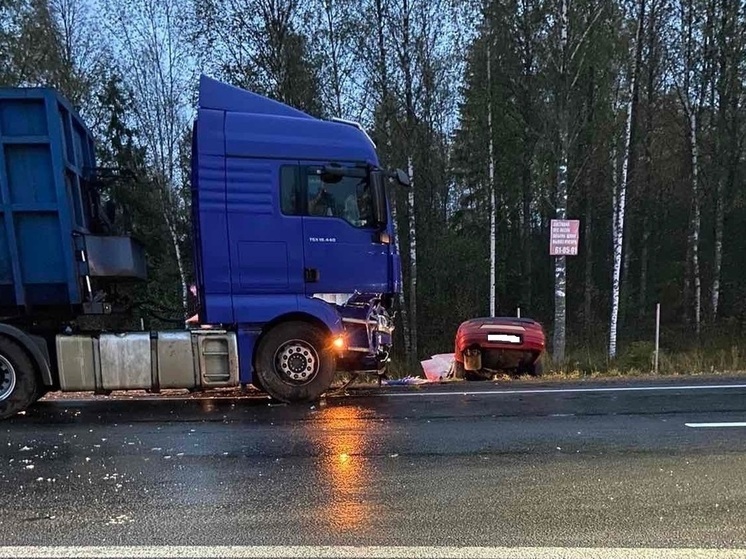 Водитель погиб на трассе в Череповецком районе
