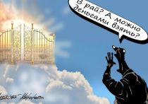 Чем может помочь региональное УФАС