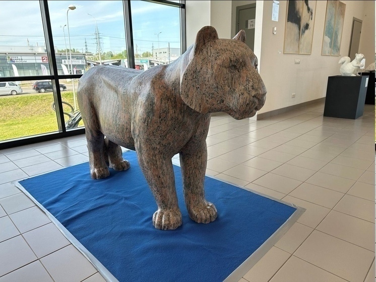 Мэрия Петрозаводска сообщила, когда в городе появится тигр